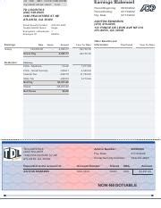 vch paystub